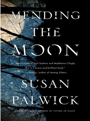 cover image of Mending the Moon